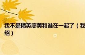 我不是精英廖美和谁在一起了（我不是精英廖美是什么身份相关内容简介介绍）