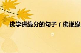 佛学讲缘分的句子（佛说缘分经典句子相关内容简介介绍）