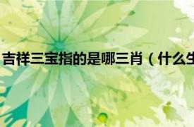 吉祥三宝指的是哪三肖（什么生肖是吉祥三宝相关内容简介介绍）