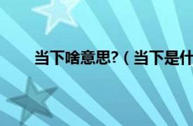 当下啥意思?（当下是什么意思相关内容简介介绍）