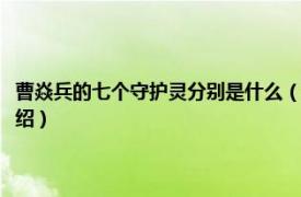 曹焱兵的七个守护灵分别是什么（曹焱兵的七个守护灵是谁相关内容简介介绍）