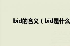 bid的含义（bid是什么意思啊相关内容简介介绍）