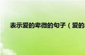 表示爱的卑微的句子（爱的卑微的句子相关内容简介介绍）