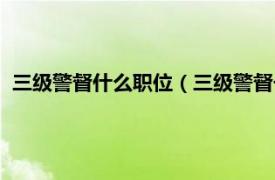 三级警督什么职位（三级警督一般是什么官相关内容简介介绍）