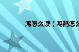 鸿怎么读（鸿鹄怎么读相关内容简介介绍）