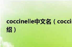 coccinelle中文名（coccinelle中文叫什么相关内容简介介绍）