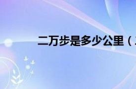 二万步是多少公里（二万步相当于多少公里）