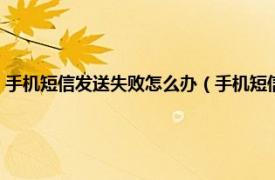 手机短信发送失败怎么办（手机短信发送失败怎么回事相关内容简介介绍）