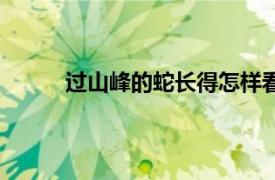 过山峰的蛇长得怎样看（过山峰的蛇长得怎样）