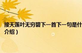 接天莲叶无穷碧下一首下一句是什么（接天莲叶无穷碧下一句相关内容简介介绍）