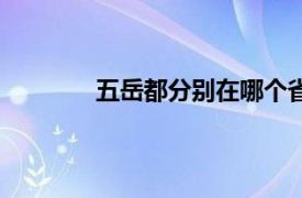 五岳都分别在哪个省（五岳分别在哪个省）