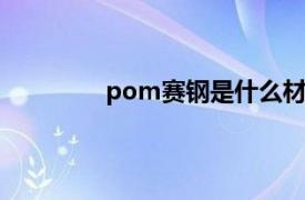 pom赛钢是什么材料（赛钢是什么材料）