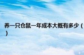 养一只仓鼠一年成本大概有多少（养一只仓鼠成本有多少相关内容简介介绍）