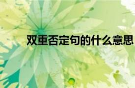 双重否定句的什么意思（双重否定句是什么意思）