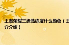 王者荣耀三级熟练度什么颜色（王者荣耀熟练度2级是什么颜色相关内容简介介绍）