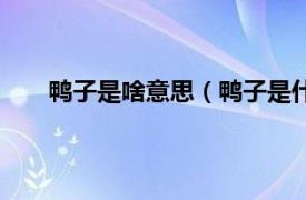 鸭子是啥意思（鸭子是什么意思相关内容简介介绍）