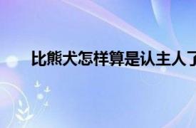 比熊犬怎样算是认主人了（比熊怎样算是认主人了）