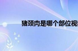 猪颈肉是哪个部位视频（猪颈肉是哪个部位）