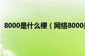 8000是什么梗（网络8000是什么意思相关内容简介介绍）