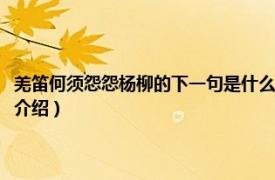 羌笛何须怨怨杨柳的下一句是什么（羌笛何须怨杨柳的下一句相关内容简介介绍）