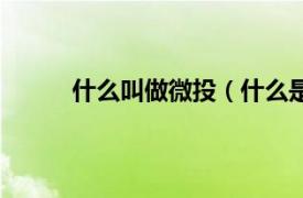 什么叫做微投（什么是微投相关内容简介介绍）