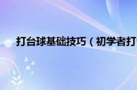 打台球基础技巧（初学者打台球的技巧相关内容简介介绍）