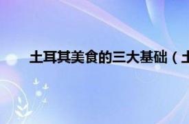 土耳其美食的三大基础（土耳其美食相关内容简介介绍）