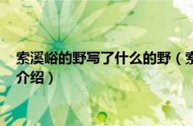 索溪峪的野写了什么的野（索溪峪的野的野指什么相关内容简介介绍）