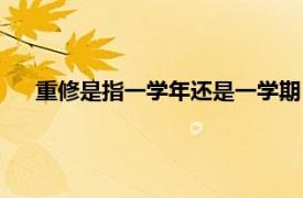 重修是指一学年还是一学期（重修是重修一年还是一学期）