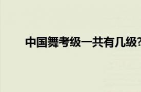 中国舞考级一共有几级?（中国舞考级总共多少级）