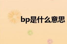 bp是什么意思（lpr是什么意思）