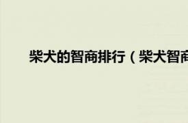 柴犬的智商排行（柴犬智商排名第几相关内容简介介绍）