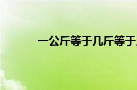 一公斤等于几斤等于几克（一公斤等于几斤）