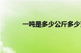 一吨是多少公斤多少克（一吨多少斤多少克）