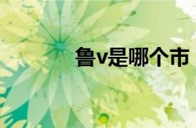 鲁v是哪个市（鲁n是哪个市）