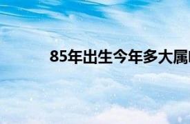 85年出生今年多大属啥（85年出生今年多大）