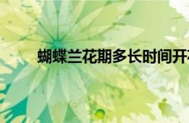 蝴蝶兰花期多长时间开花（蝴蝶兰花期多长时间）