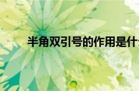 半角双引号的作用是什么（双引号的作用是什么）