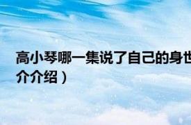 高小琴哪一集说了自己的身世（高小琴哪一集失的身相关内容简介介绍）