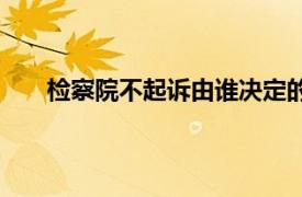 检察院不起诉由谁决定的（检察院不起诉由谁决定）