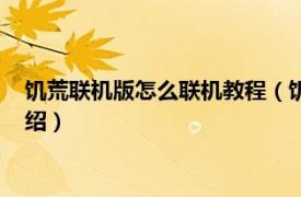 饥荒联机版怎么联机教程（饥荒联机版联机方法相关内容简介介绍）