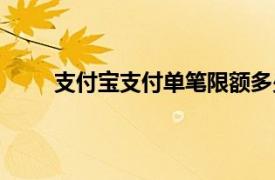 支付宝支付单笔限额多少（支付宝单笔限额多少）