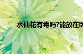 水仙花有毒吗?能放在卧室内吗?（水仙花有毒吗）