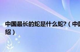 中国最长的蛇是什么蛇?（中国最大的蛇是什么蛇相关内容简介介绍）