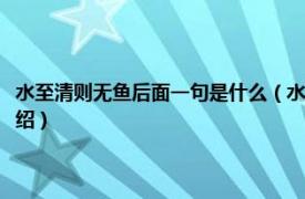 水至清则无鱼后面一句是什么（水至清则无鱼下一句是什么相关内容简介介绍）