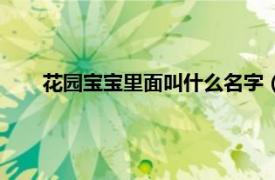 花园宝宝里面叫什么名字（花园宝宝的名字分别叫什么）