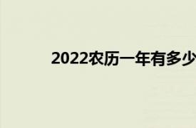 2022农历一年有多少天（农历一年有多少天）