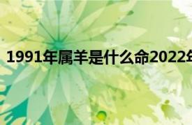 1991年属羊是什么命2022年运势（1991年属羊是什么命）