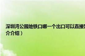 深圳湾公园地铁口哪一个出口可以直接到海边（深圳湾公园哪个出口是海边相关内容简介介绍）