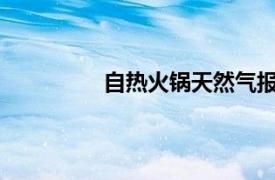 自热火锅天然气报警器一直响怎么回事